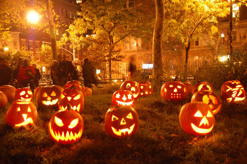Halloween Photo: Jack-O-Lantern pumpkins (source: A Druid Way)