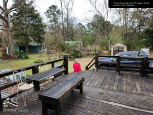 Mrs. Kat Hepperle surveys the tree loss and considers God's goodness